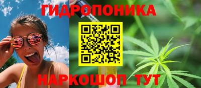 стаф Лесосибирск