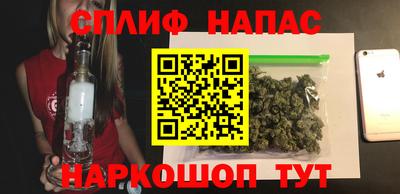 стаф Лесосибирск